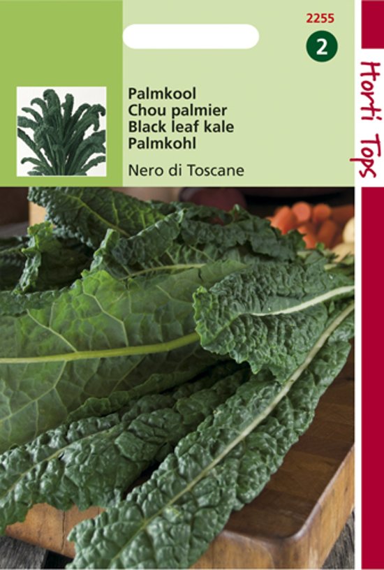 Palmkohl Nero di Toscana (Brassica) 600 Samen HT